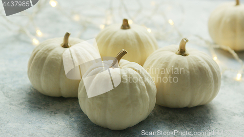 Image of White pumpkins with garland