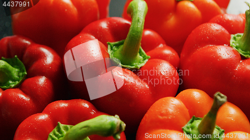 Image of Pile of red peppers