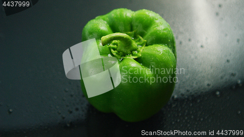 Image of Closeup of wet green pepper