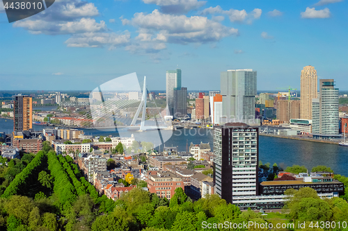 Image of View of Rotterdam city and the Erasmus bridge 