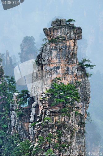 Image of Zhangjiajie mountains, China