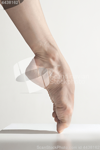Image of Close-up ballerina\'s legs on the white floor