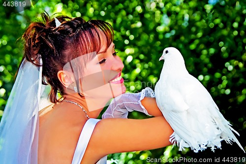 Image of Bride with a pigeon