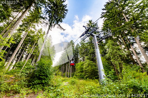 Image of Ski lift in the summer in a green forest