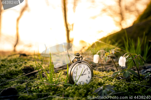 Image of Antique pocket watch buried in moss