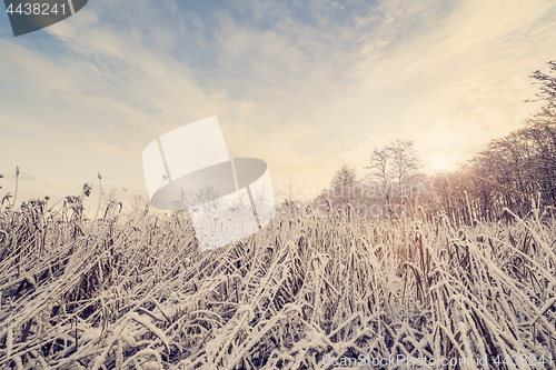 Image of Wilderness with frozen nature in the winter