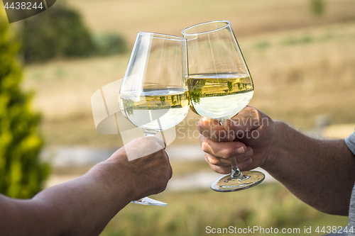 Image of Cheers with white wine a garden