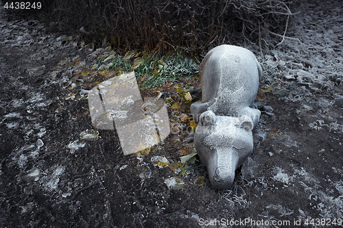 Image of Homeless bear sleeping in the cold frost all alone