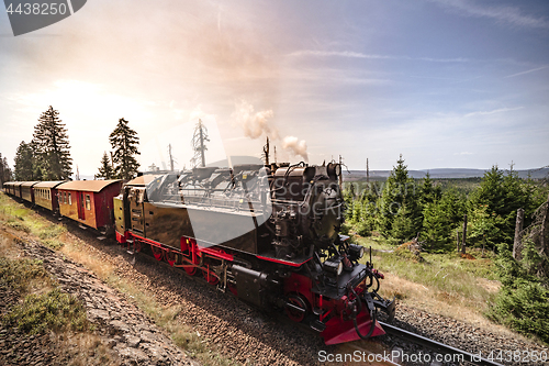 Image of Steam locomotive driving through beautiful nature