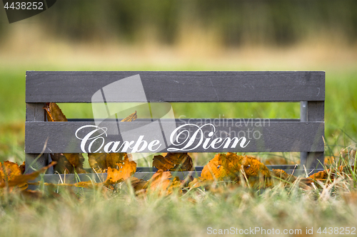 Image of Wooden box with the phrase Carpe Diem