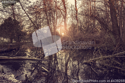 Image of Sunrise by a forest lake in the winter