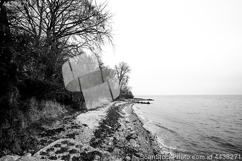 Image of Black and white photo of a coast in the fall