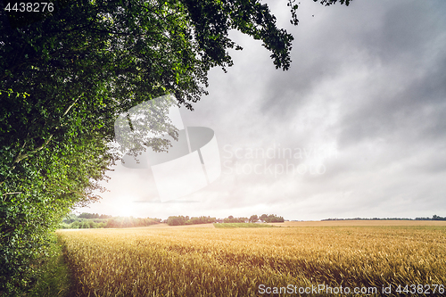 Image of Countryside sunset on a field landscape