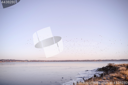 Image of Frozen lake in the sunrise