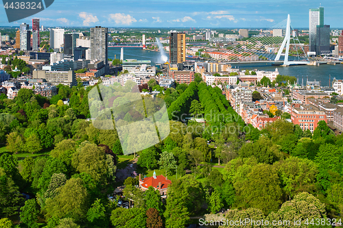 Image of View of Rotterdam city and the Erasmus bridge 