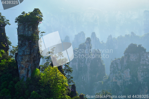 Image of Zhangjiajie mountains, China