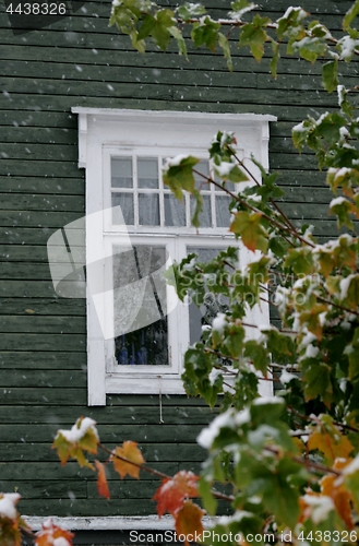 Image of Autumn window
