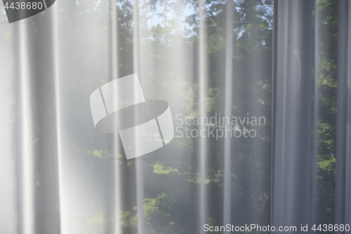 Image of the garden in the window behind the transparent curtains