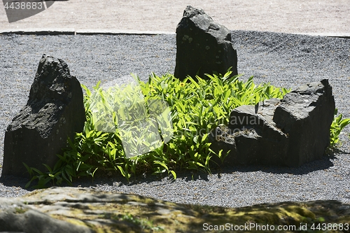 Image of landscape design, stone garden