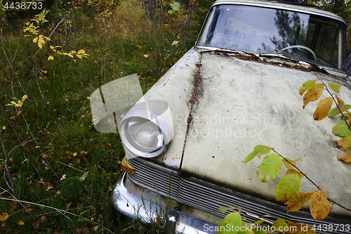 Image of abandoned old car in the forest