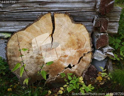 Image of wooden circle with a split cut 