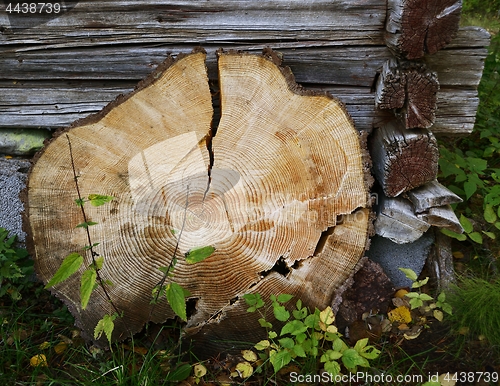 Image of wooden circle with a split cut 