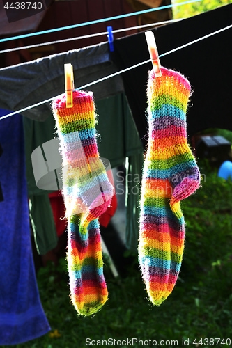 Image of rainbow socks hang on the clothesline