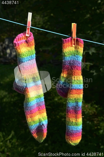 Image of rainbow socks hang on the clothesline