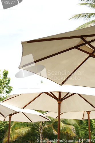 Image of Beach umbrellas