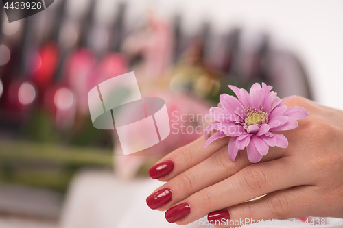 Image of woman fingers with french manicure