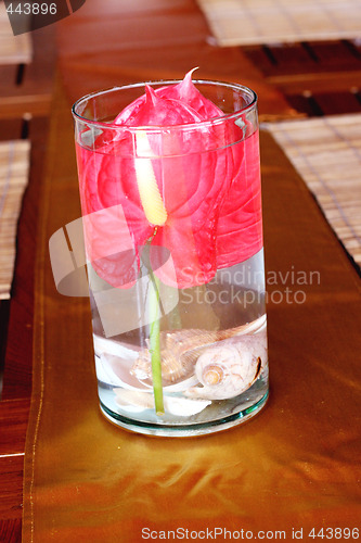 Image of Vase