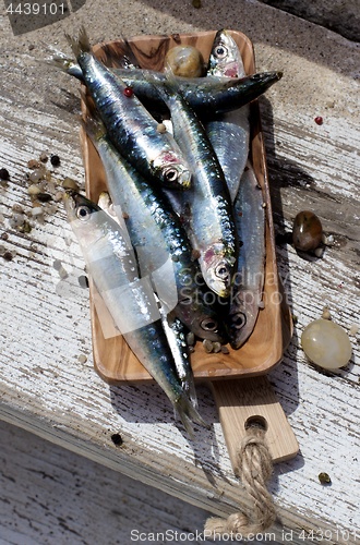 Image of Raw Fresh Sardines