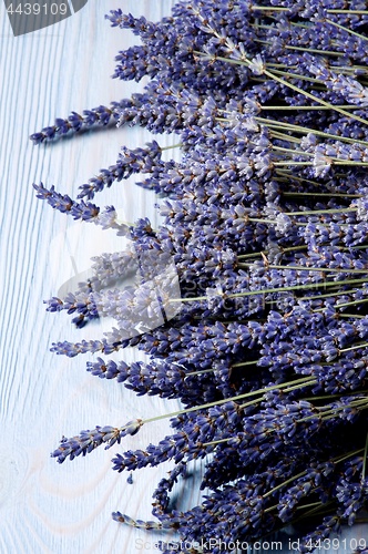 Image of Frame of Lavender Flowers