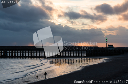 Image of Sunset Beach with Dog Walker at Newhaven