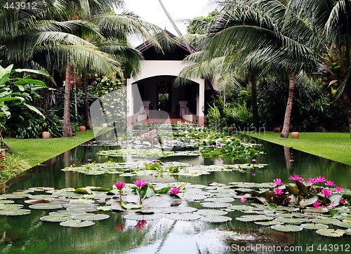 Image of Water garden