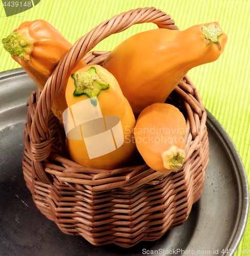 Image of Fresh Yellow Zucchini