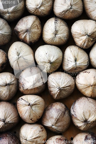 Image of Coconuts