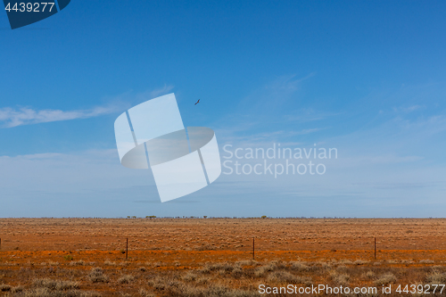 Image of Australian desert outback 