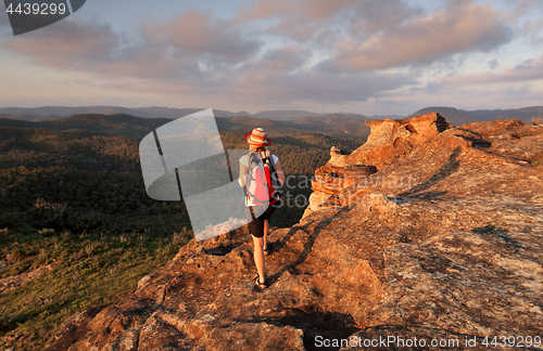 Image of Bushwalking the Blue Mountains