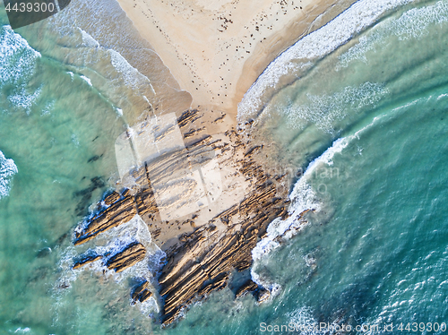 Image of Arrow Point aerial coastal view