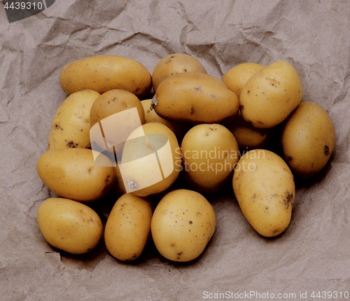 Image of Yellow Finger Potatoes