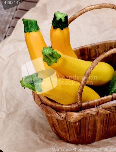 Image of Fresh Yellow Zucchini
