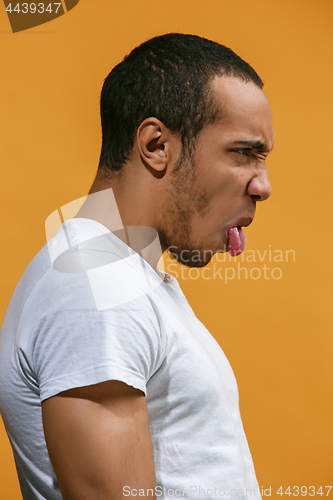 Image of Crazy Afro-American man is looking funny against orange background