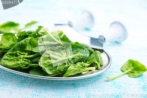 Image of spinach