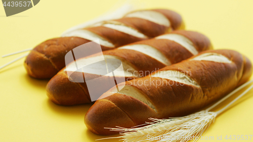 Image of Golden baguettes and wheat ears