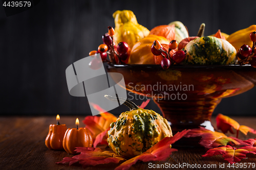 Image of Thanksgiving and Halloween still life with pumpkins