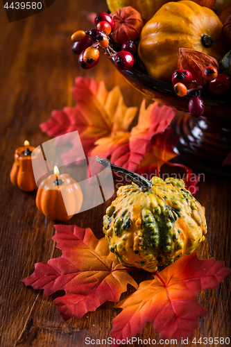 Image of Thanksgiving and Halloween still life with pumpkins