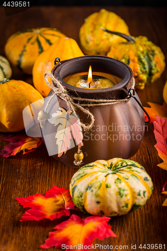Image of Thanksgiving and Halloween still life with pumpkins