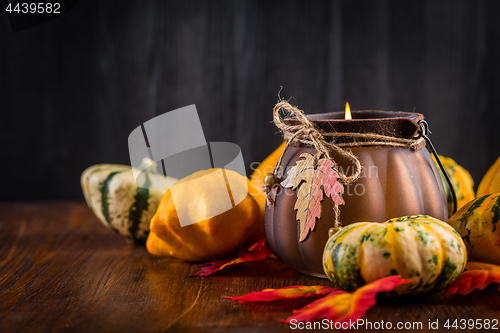 Image of Thanksgiving and Halloween still life with pumpkins