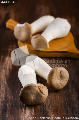 Image of King oyster mushroom